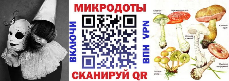 как найти   Чебаркуль  Галлюциногенные грибы Cubensis 
