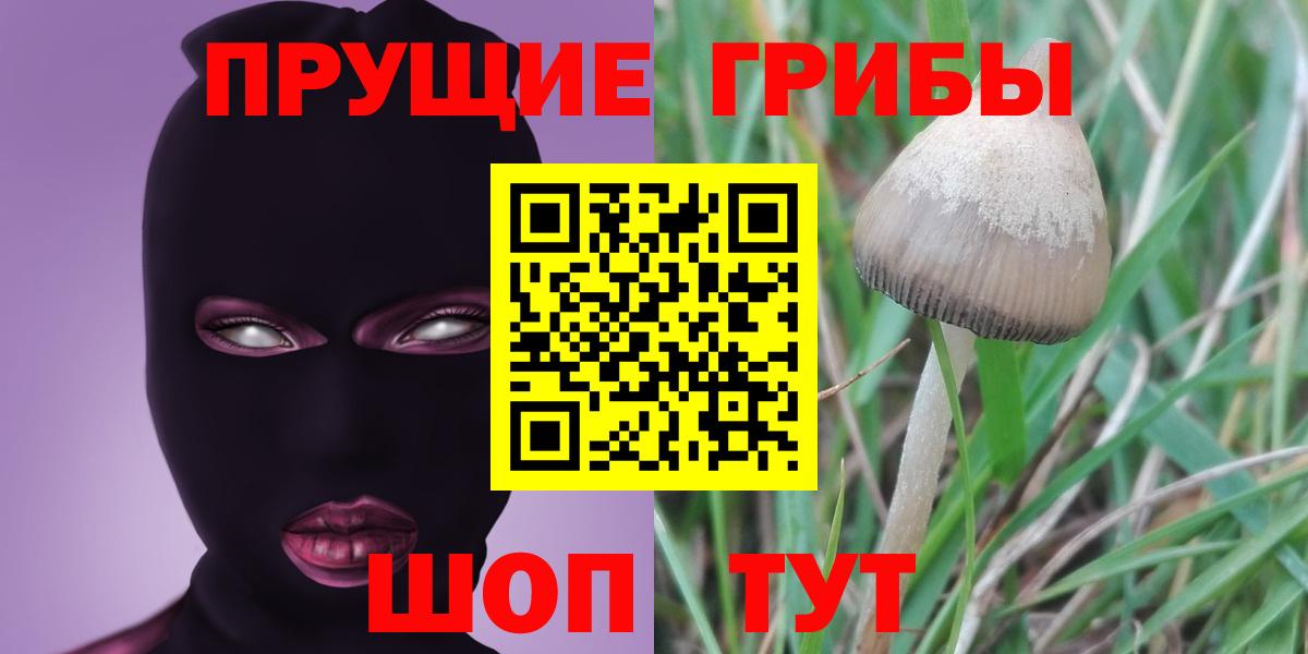 Чебаркуль  Псилоцибиновые грибы Magic Shrooms  Вход с VPN 